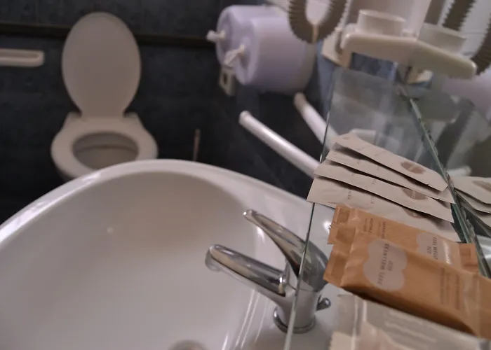 Hotel Corona 호텔 3*